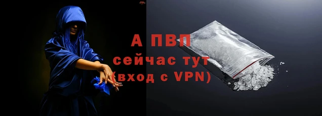 крисы Белокуриха