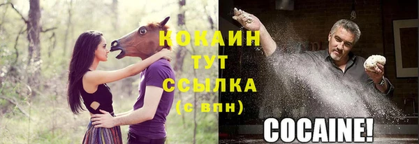 крисы Белокуриха