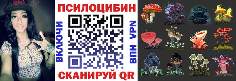Галлюциногенные грибы Psilocybe  где купить наркотик  Судак 
