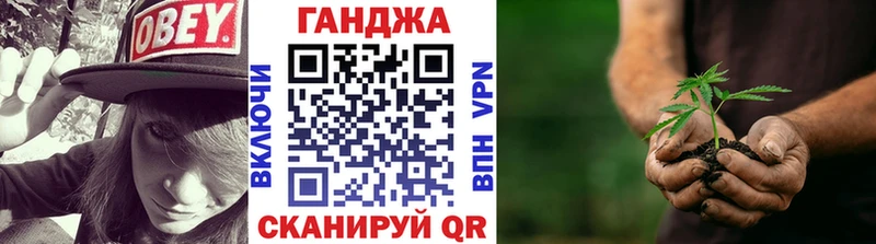 Марихуана сатива Судак